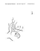 MAGNETIC PROBE APPARATUS diagram and image