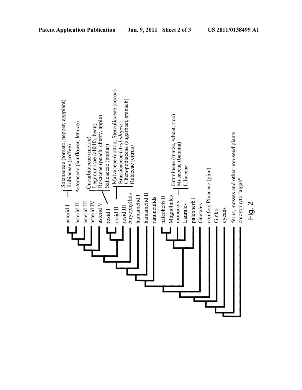 PLANT QUALITY TRAITS - diagram, schematic, and image 04