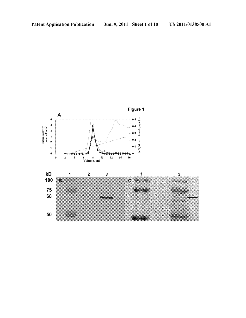 POLYNUCLEOTIDES AND POLYPEPTIDES ENCODED THEREFROM AND METHODS OF USING     SAME FOR INCREASING BIOMASS IN PLANTS AND PLANTS GENERATED THEREBY - diagram, schematic, and image 02