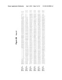 POLYNUCLEOTIDES AND POLYPEPTIDES ENCODED THEREFROM AND METHODS OF USING     SAME FOR INCREASING BIOMASS IN PLANTS AND PLANTS GENERATED THEREBY diagram and image