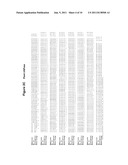 POLYNUCLEOTIDES AND POLYPEPTIDES ENCODED THEREFROM AND METHODS OF USING     SAME FOR INCREASING BIOMASS IN PLANTS AND PLANTS GENERATED THEREBY diagram and image