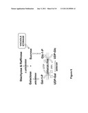 POLYNUCLEOTIDES AND POLYPEPTIDES ENCODED THEREFROM AND METHODS OF USING     SAME FOR INCREASING BIOMASS IN PLANTS AND PLANTS GENERATED THEREBY diagram and image