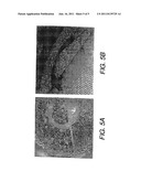 Method and System for Biofouling Control of Shipboard Components diagram and image