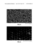 ROBUST CARBON MONOLITH HAVING HIERARCHICAL POROSITY diagram and image