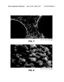 ROBUST CARBON MONOLITH HAVING HIERARCHICAL POROSITY diagram and image