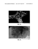 ROBUST CARBON MONOLITH HAVING HIERARCHICAL POROSITY diagram and image