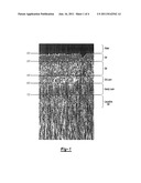 GEOMORPHOLOGY FOR ENVIRONMENTAL REMEDIATION PROCESSES AND SYSTEMS     INCLUDING SEDIMENT SURVEY diagram and image