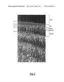 GEOMORPHOLOGY FOR ENVIRONMENTAL REMEDIATION PROCESSES AND SYSTEMS     INCLUDING SEDIMENT SURVEY diagram and image