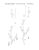 Method And Composition For The Treatment Of Cancer By The Enzymatic     Conversion Of Soluble Radioactive Toxic Precipitates In The Cancer diagram and image