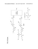 Method And Composition For The Treatment Of Cancer By The Enzymatic     Conversion Of Soluble Radioactive Toxic Precipitates In The Cancer diagram and image