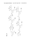 Method And Composition For The Treatment Of Cancer By The Enzymatic     Conversion Of Soluble Radioactive Toxic Precipitates In The Cancer diagram and image