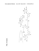 Method And Composition For The Treatment Of Cancer By The Enzymatic     Conversion Of Soluble Radioactive Toxic Precipitates In The Cancer diagram and image