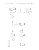 Method And Composition For The Treatment Of Cancer By The Enzymatic     Conversion Of Soluble Radioactive Toxic Precipitates In The Cancer diagram and image