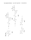 Method And Composition For The Treatment Of Cancer By The Enzymatic     Conversion Of Soluble Radioactive Toxic Precipitates In The Cancer diagram and image