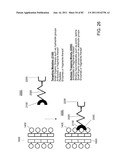 Method And Composition For The Treatment Of Cancer By The Enzymatic     Conversion Of Soluble Radioactive Toxic Precipitates In The Cancer diagram and image