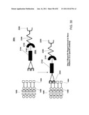 Method And Composition For The Treatment Of Cancer By The Enzymatic     Conversion Of Soluble Radioactive Toxic Precipitates In The Cancer diagram and image