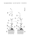 Method And Composition For The Treatment Of Cancer By The Enzymatic     Conversion Of Soluble Radioactive Toxic Precipitates In The Cancer diagram and image