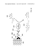 Method And Composition For The Treatment Of Cancer By The Enzymatic     Conversion Of Soluble Radioactive Toxic Precipitates In The Cancer diagram and image