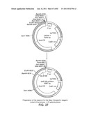 Method And Composition For The Treatment Of Cancer By The Enzymatic     Conversion Of Soluble Radioactive Toxic Precipitates In The Cancer diagram and image