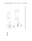 Method And Composition For The Treatment Of Cancer By The Enzymatic     Conversion Of Soluble Radioactive Toxic Precipitates In The Cancer diagram and image