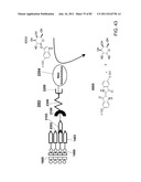 Method And Composition For The Treatment Of Cancer By The Enzymatic     Conversion Of Soluble Radioactive Toxic Precipitates In The Cancer diagram and image