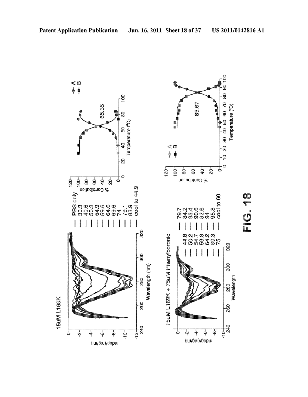 THERMOSTABILIZATION OF PROTEINS - diagram, schematic, and image 19