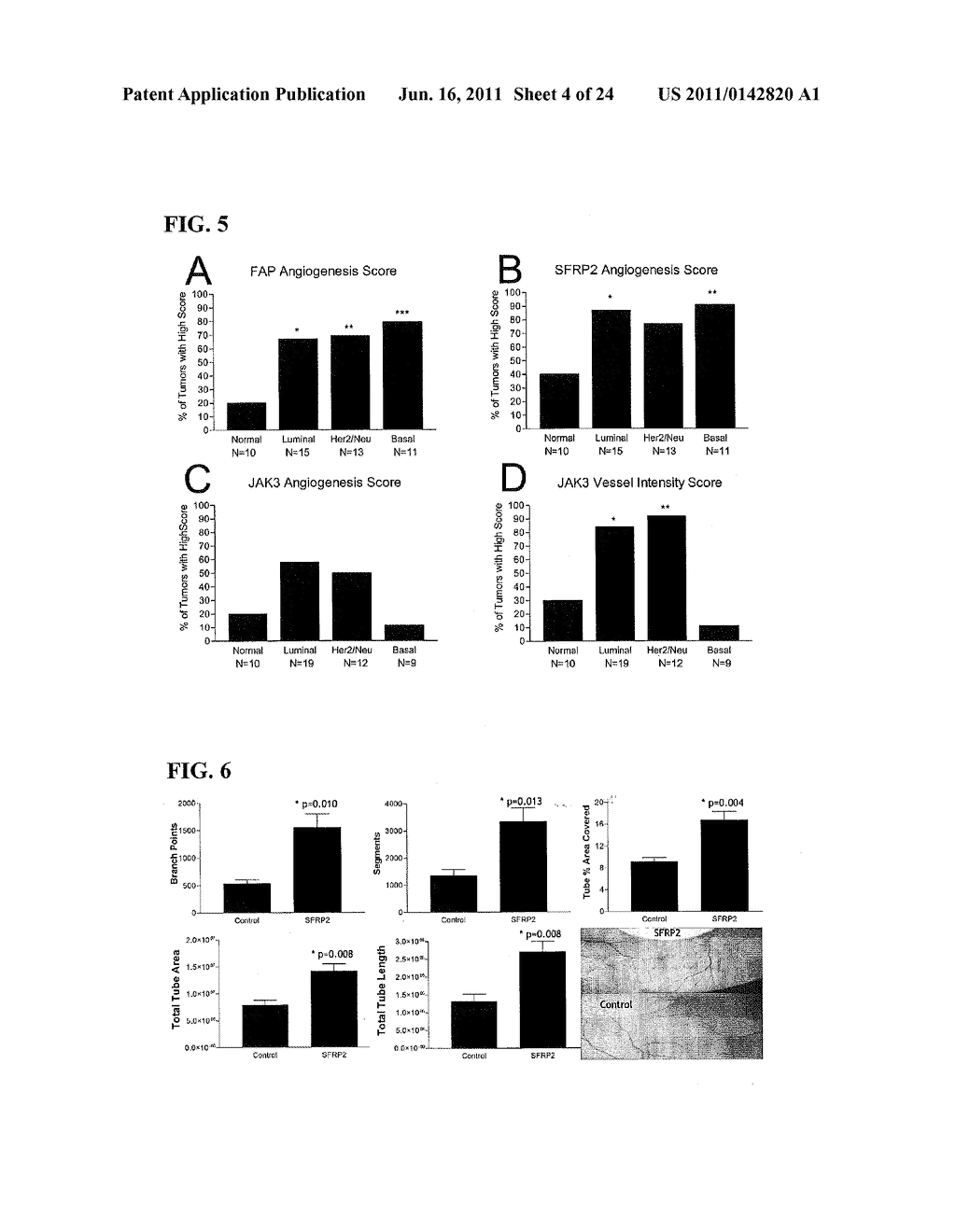 Novel Targets for Regulation of Angiogenesis - diagram, schematic, and image 05