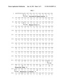 METHOD OF PREVENTING THE DEVELOPMENT OF RHEUMATOID ARTHRITIS IN SUBJECTS     WITH UNDIFFERENTIATED ARTHRITIS diagram and image