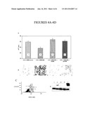 Method Of Treating Acute Respiratory Distress Syndrome diagram and image