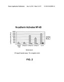 NOVEL ANTIBODIES AGAINST CANCER TARGET BLOCK TUMOR GROWTH, ANGIOGENESIS     AND METASTATIS diagram and image