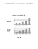 NOVEL ANTIBODIES AGAINST CANCER TARGET BLOCK TUMOR GROWTH, ANGIOGENESIS     AND METASTATIS diagram and image