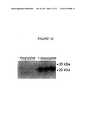 METHOD FOR DIAGNOSING AND TREATING EMPHYSEMA diagram and image