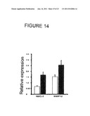 METHOD FOR DIAGNOSING AND TREATING EMPHYSEMA diagram and image