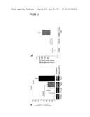 METHOD FOR DIAGNOSING AND TREATING EMPHYSEMA diagram and image