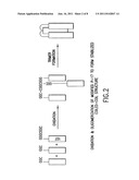 Methods of Eliciting Broadly Neutralizing Antibodies Targeting HIV-1 GP41 diagram and image