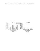 Methods of Eliciting Broadly Neutralizing Antibodies Targeting HIV-1 GP41 diagram and image