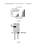 POLYNUCLEOTIDES ALLOWING THE EXPRESSION AND SECRETION OF RECOMBINANT     PSEUDO-VIRUS CONTAINING FOREIGN EPITOPES, THEIR PRODUCTION, AND USE diagram and image