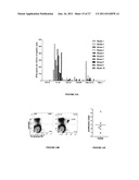 POLYNUCLEOTIDES ALLOWING THE EXPRESSION AND SECRETION OF RECOMBINANT     PSEUDO-VIRUS CONTAINING FOREIGN EPITOPES, THEIR PRODUCTION, AND USE diagram and image