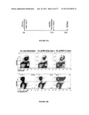 POLYNUCLEOTIDES ALLOWING THE EXPRESSION AND SECRETION OF RECOMBINANT     PSEUDO-VIRUS CONTAINING FOREIGN EPITOPES, THEIR PRODUCTION, AND USE diagram and image