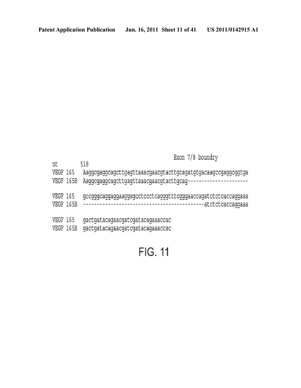 COMPOSITIONS AND METHODS FOR INHIBITION OF VEGF - diagram, schematic, and image 12