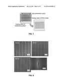 Method for Fabrication of Patterned Micro/Nano Architectures Using     Directional Photo-Fluidization of Polymer diagram and image