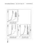 MARKER FOR ESTIMATING THE DIAGNOSIS OF CERVICAL ADENOCARCINOMA OR FOR     ESTIMATING THE PROGNOSIS OF CERVICAL CANCER diagram and image