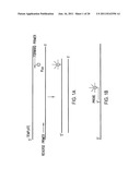 PRIMERS AND METHODS FOR THE DETECTION AND DISCRIMINATION OF NUCLEIC ACIDS diagram and image