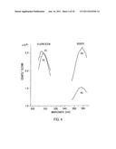 PRIMERS AND METHODS FOR THE DETECTION AND DISCRIMINATION OF NUCLEIC ACIDS diagram and image