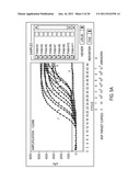 PRIMERS AND METHODS FOR THE DETECTION AND DISCRIMINATION OF NUCLEIC ACIDS diagram and image