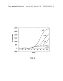 PRIMERS AND METHODS FOR THE DETECTION AND DISCRIMINATION OF NUCLEIC ACIDS diagram and image