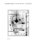 GLYOSYLATION MARKERS FOR CANCER AND CHRONIC INFLAMMATION diagram and image