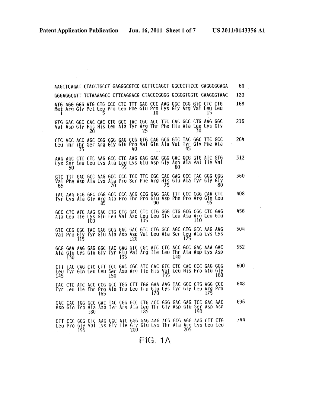 THERMOSTABLE POLYMERASES HAVING ALTERED FIDELITY AND METHODS OF     IDENTIFYING AND USING SAME - diagram, schematic, and image 02