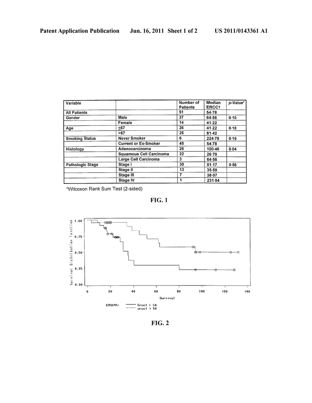 PREDICTIVE VALUE OF NUCLEAR EXCISION REPAIR GENES FOR CANCER SURVIVAL - diagram, schematic, and image 02