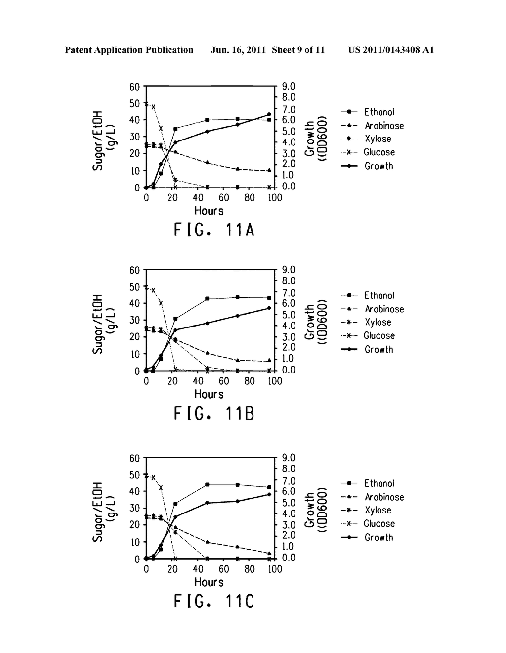 ZYMOMONAS WITH IMPROVED ARABINOSE UTILIZATION - diagram, schematic, and image 10